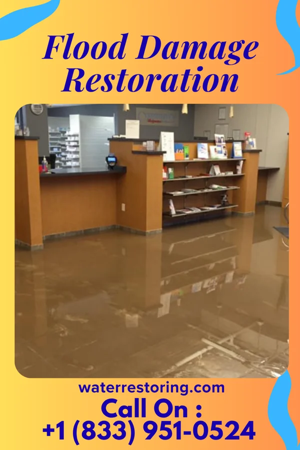 Flood Damage Restoration in Bayou Vista, TX