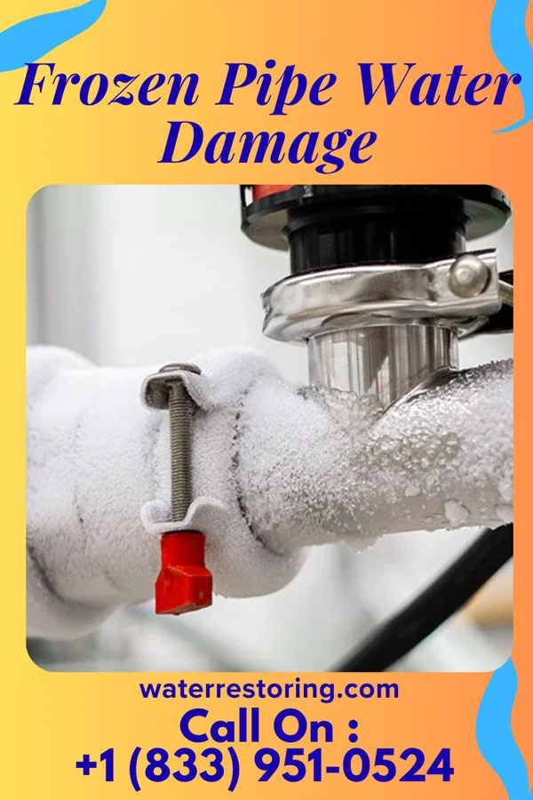 Frozen Pipe Water Damage in Bayou Vista, TX