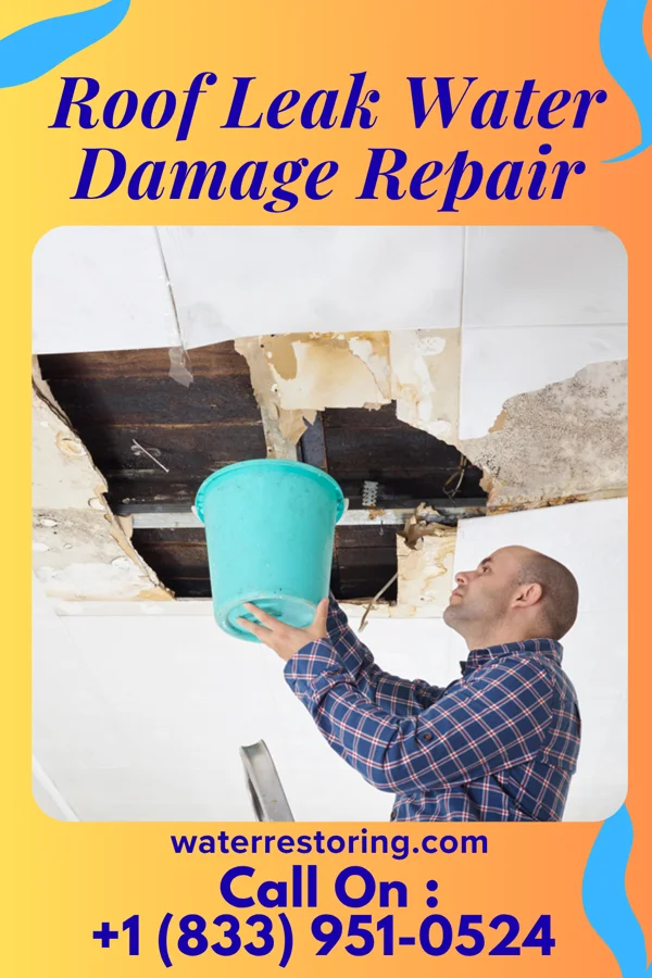 Roof Leak Water Damage Repair in Bayou Vista, TX